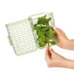 OXO GREENSAVER 1,7lt - CONTENITORE PER ERBE AROMATICHE