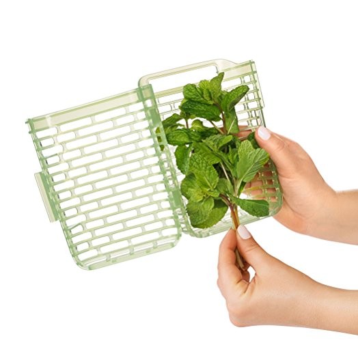OXO GREENSAVER 2,7lt. - CONTENITORE PER ERBE AROMATICHE OXO GREENSAVER 2,7lt. - CONTENITORE PER ERBE AROMATICHE