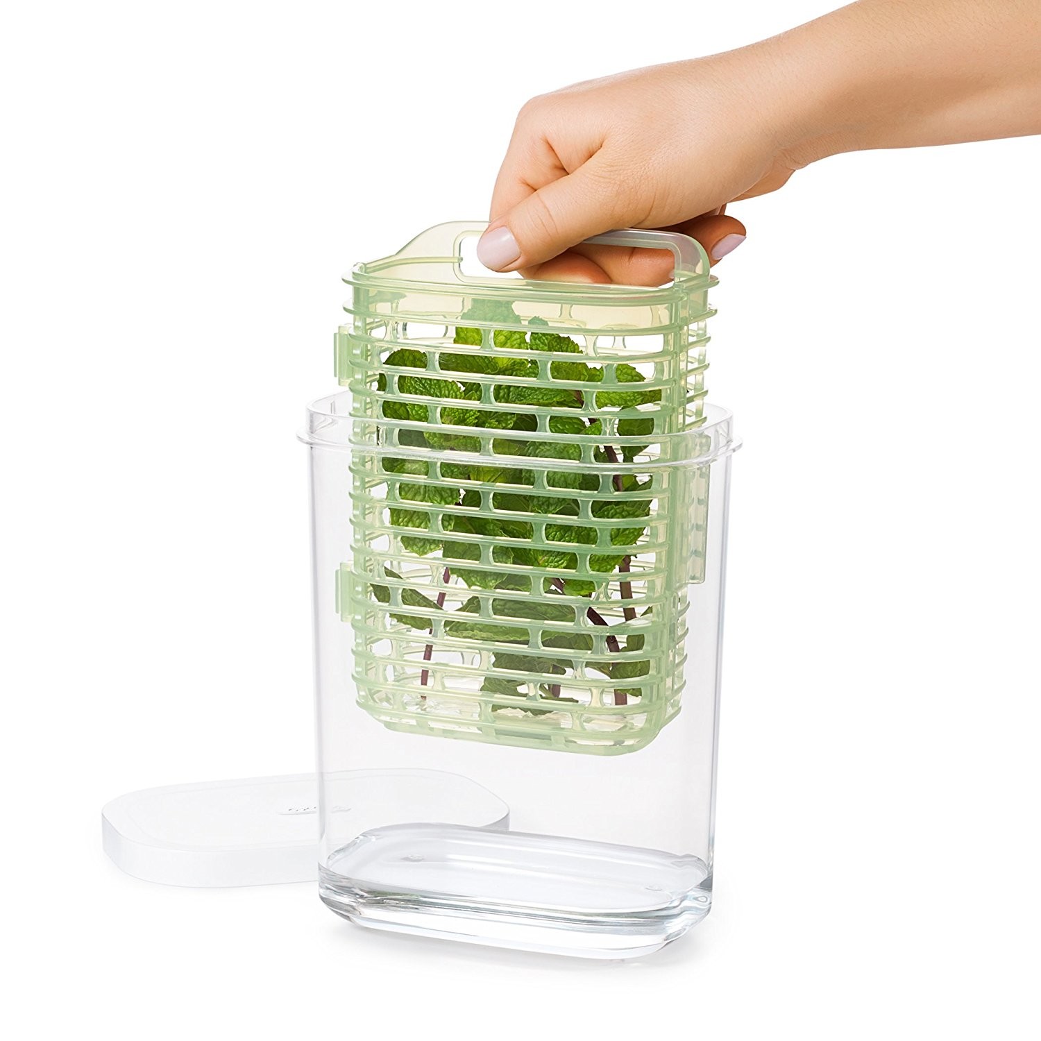 OXO GREENSAVER 2,7lt. - CONTENITORE PER ERBE AROMATICHE OXO GREENSAVER 2,7lt. - CONTENITORE PER ERBE AROMATICHE