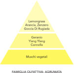 Gel Igienizzante Mani - Lemongrass - 500ml - immagine 3