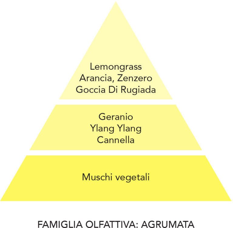 lemongrass-2-768x752 Gel Igienizzante Mani - Lemongrass - 500ml - immagine 3